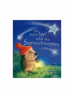 BRUNNEN VERLAG, Buch - Der Kleine Igel Und Die Sternschnuppen