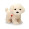 HERMANN TEDDY, Plüschtier - Malteser Stehend 23cm -Kinder Spielzeug Geschäft hermannteddy plC3BCschtier malteserstehend23cm 1 768 1024 75 7472613 1
