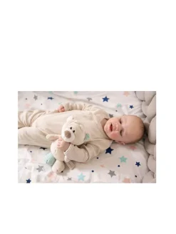 NICI, Plüschtier - Bär Taps 25cm -Kinder Spielzeug Geschäft nici plC3BCschtier bC3A4rtaps25cm 7 768 1024 75 7565412 7