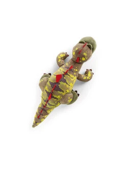 NICI, Plüschtier - Dino Fossily 25cm Liegend -Kinder Spielzeug Geschäft nici plC3BCschtier dinofossily25cmliegend 3 768 1024 75 7588412 3