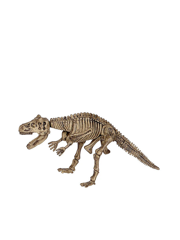 T-REX WORLD, Großes Ausgrabungsset Carnotaurus 4 T-REX WORLD, Großes Ausgrabungsset Carnotaurus – Bild 2