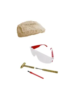 T-REX WORLD, Großes Ausgrabungsset Triceratops 7 T-REX WORLD, Großes Ausgrabungsset Triceratops -Kinder Spielzeug Geschäft t rexworld groC39Fesausgrabungssettriceratops 3 768 1024 75 7600586 3